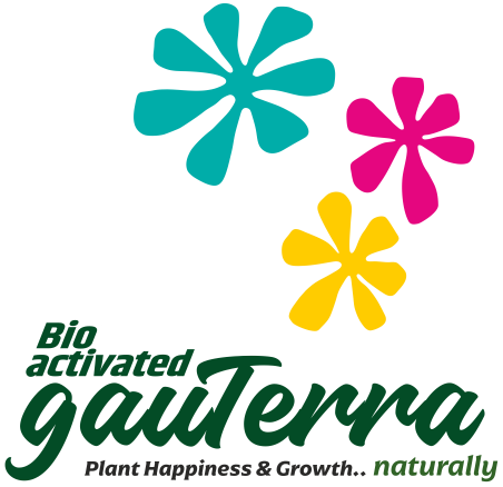 Gauterra